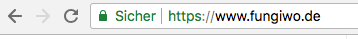 Browser-Kennzeichnung einer sicheren SSL-Verbindung dank SSL-Verschlüsselung
